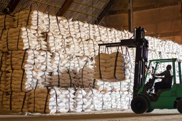 Правительство временно запретило экспорт сахара